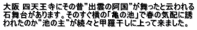 大阪 四天王寺にその昔”出雲の阿国”が舞ったと云われる 石舞台があります。そのすぐ横の「亀の池」で春の気配に誘 われたのか”池の主”が続々と甲羅干しに上って来ました。