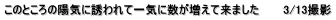 ̂Ƃ̗zCɗUĈCɐė܂@@@3/13Be