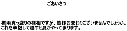 　　　　　　　　　　　　　　ごあいさつ    梅雨真っ盛りの様相ですが、皆様お変わりございませんでしょうか。 これを辛抱して越すと夏がやって参ります。