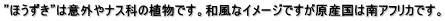 hقh͈ӊOiXȂ̐AłBaȃC[WłY͓AtJłB