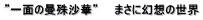 hʂ̙֎ꍹ؁h@@܂Ɍz̐E