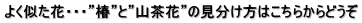 悭ԁEEEhցhƁhRԁȟ͂炩ǂ