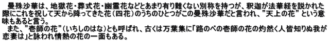 　曼殊沙華は、地獄花・葬式花・幽霊花などとあまり有り難くない別称を持つが、釈迦が法華経を説かれた 際にこれを祝して天から降ってきた花（四花）のうちのひとつがこの曼殊沙華だと言われ、”天上の花” という意 味もあると言う。 　また、”壱師の花”（いちしのはな）とも呼ばれ、古くは万葉集に「路のべの壱師の花の灼然く人皆知りぬ我が 恋妻は」と詠われ情熱の花の一面もある。