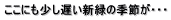 ここにも少し遅い新緑の季節が・・・