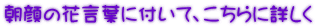 朝顔の花言葉に付いて、こちらに詳しく